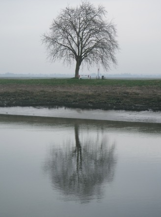 Reflections.JPG