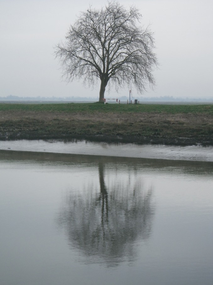 Reflections.JPG