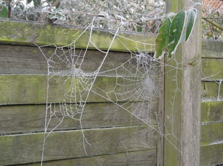 A frosty start