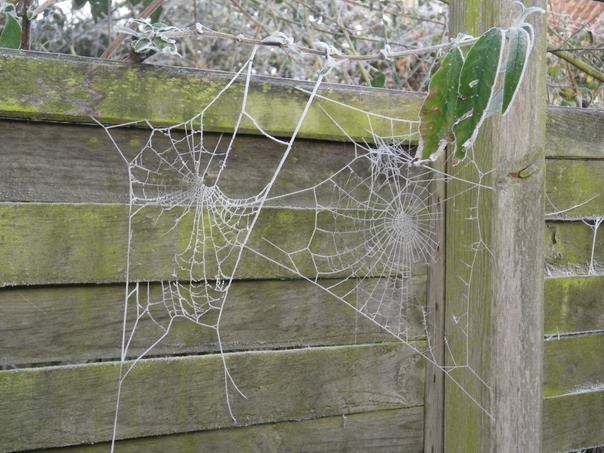 A frosty start