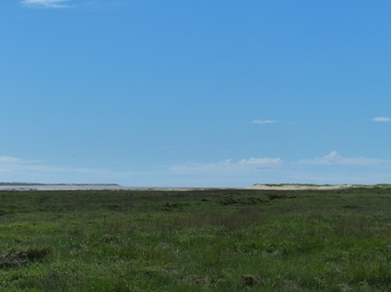 Baie d'Authie.JPG