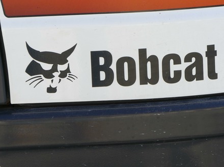 Bobcat