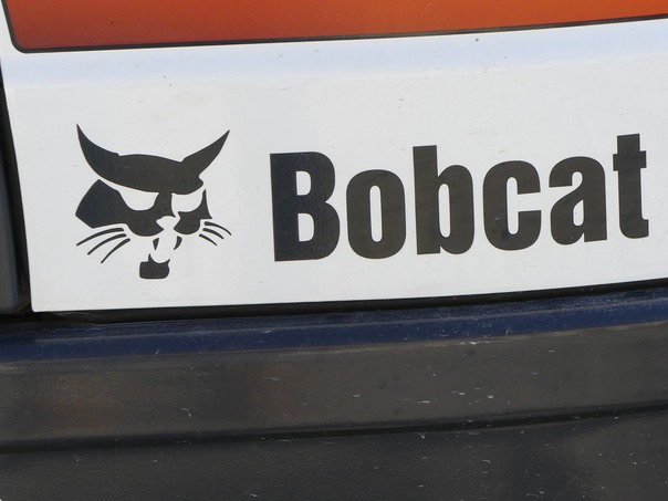 Bobcat
