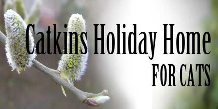 Catkins