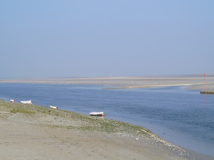 DSC00036