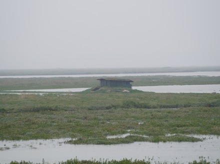 DSC00117