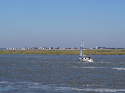 DSC00320.JPG