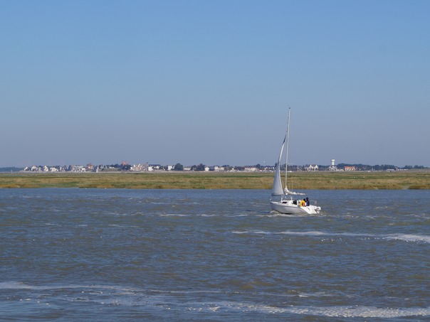 DSC00320.JPG
