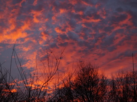 DSC00333.JPG