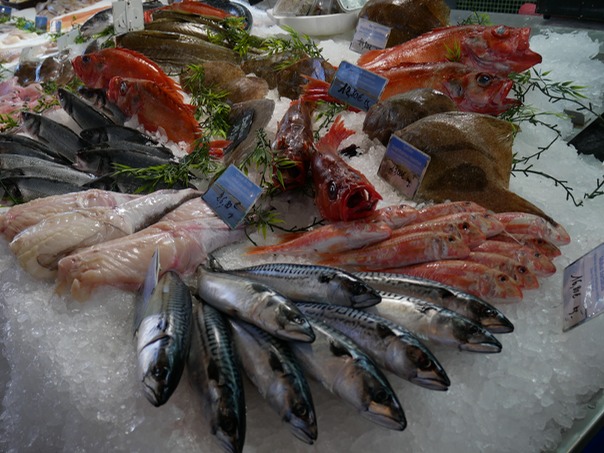 Fish.JPG