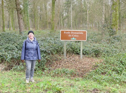 Forest Walk