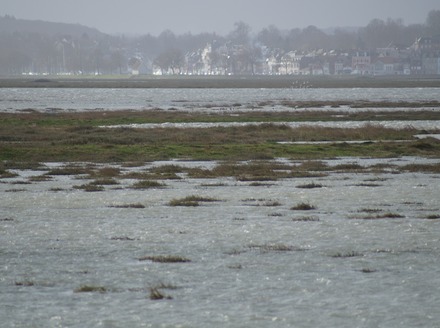 High Tides.JPG