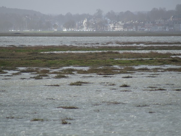 High Tides.JPG