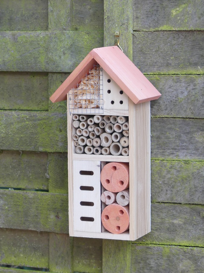 Insect House.jpg