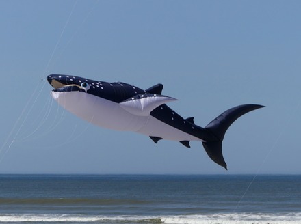 Jaws.jpg
