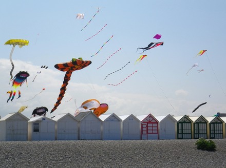 Kites.JPG