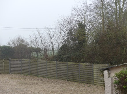 Misty Start.JPG
