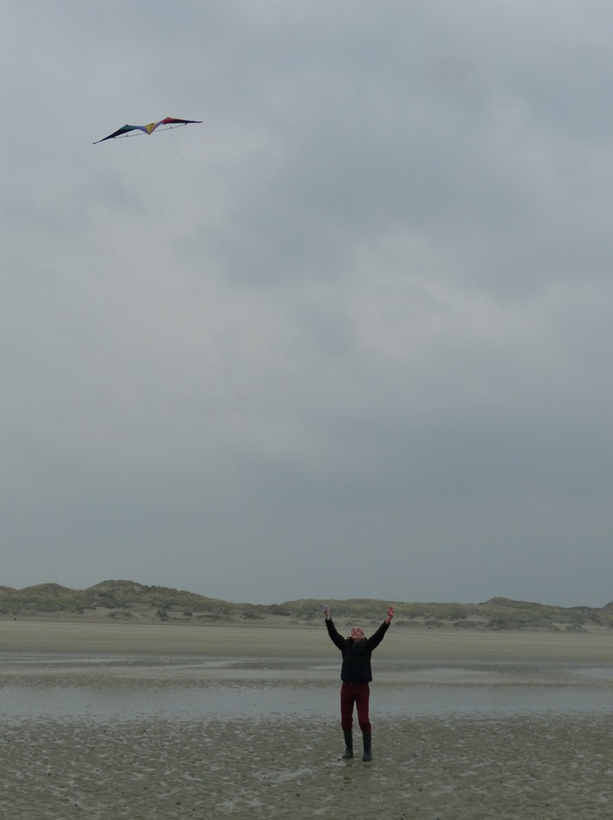 Our Kite.JPG