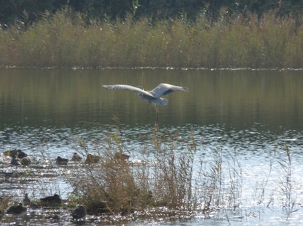 P1060499