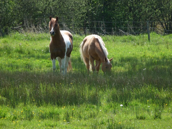 P1070054