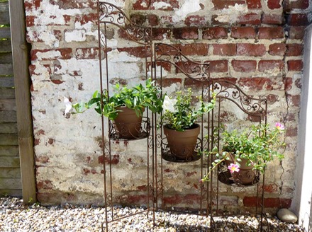 Plant Holder