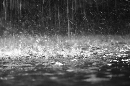Rainfall.jpg