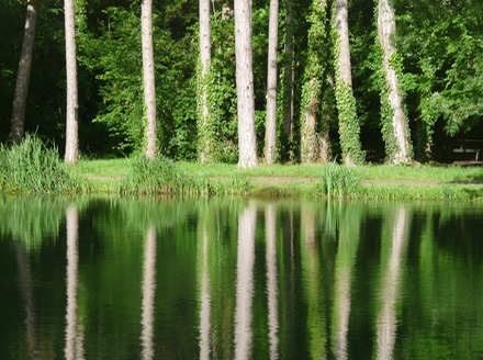 Reflections