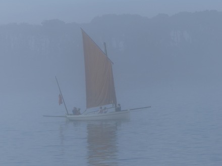 Sails in the Mist
