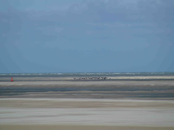 Seals