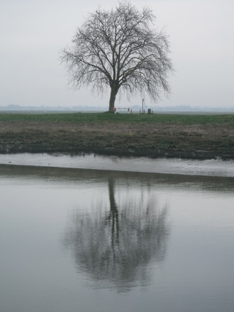 Reflections.JPG