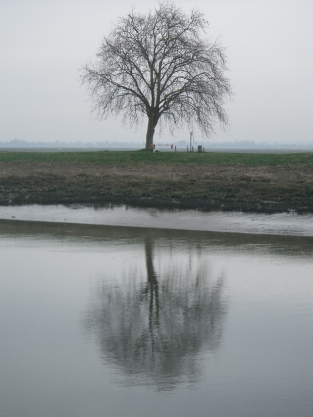 Reflections.JPG