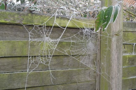 A frosty start