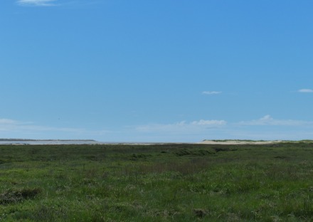 Baie d'Authie.JPG