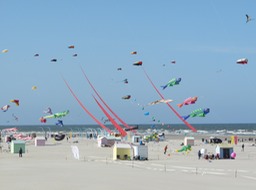 Berck sur Mer.JPG