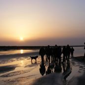 Découvrons la Baie de Somme