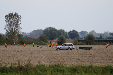 DSC00010