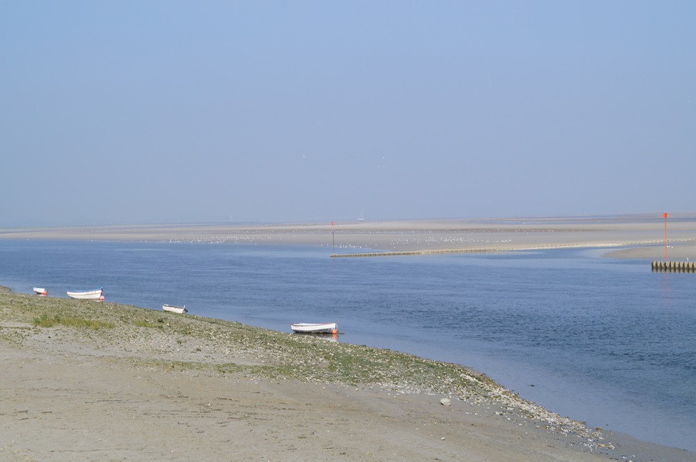 DSC00036