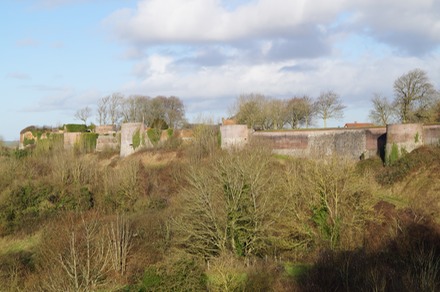 DSC00340.JPG
