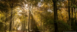 Esprit de Picardie