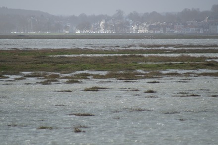 High Tides.JPG