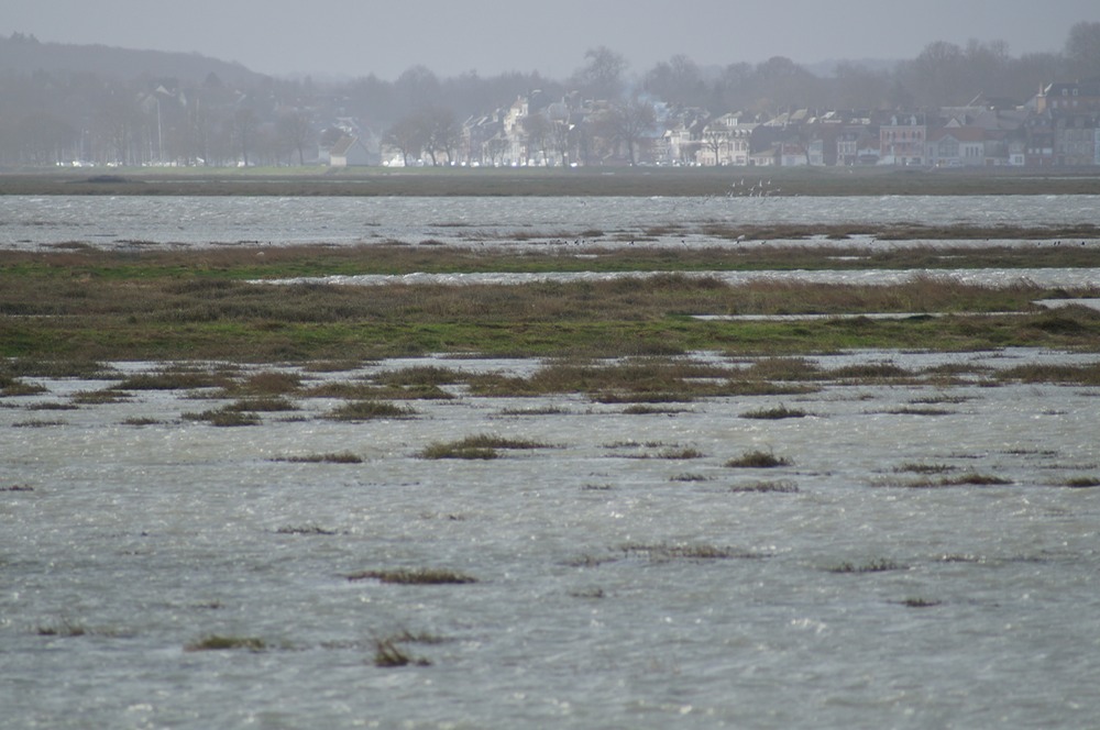 High Tides.JPG