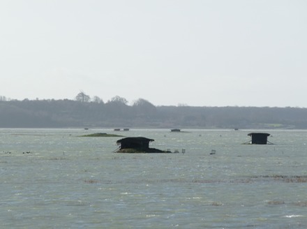 Hutte de chasse.JPG