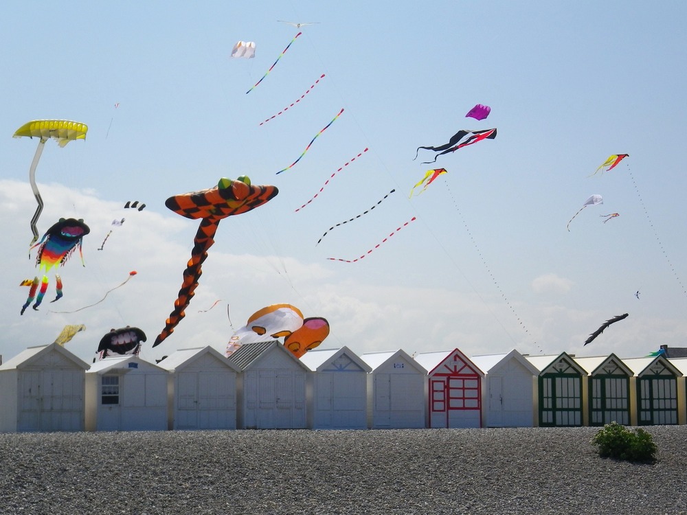 Kites.JPG