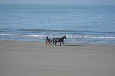 Le Trot