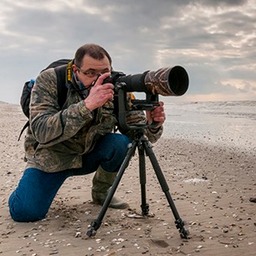 Stéphane Bouilland - Photographies en Baie de Somme