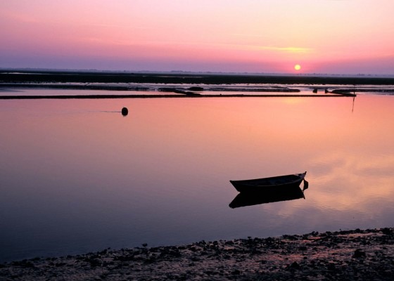 Sunset on the Baie de Somme.jpg