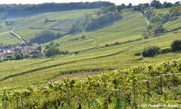 Terroirs de Picardie
